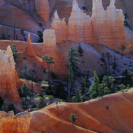 Bryce